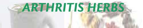 Arthritis Herbs Treatment